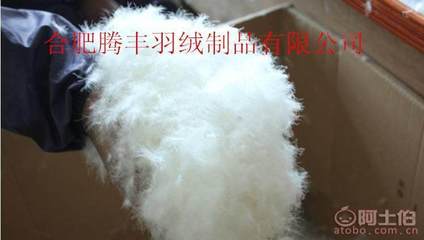 【精品白鸭葡萄吊绒精全吊羽绒650以上蓬松95%人工挑选25(mm)