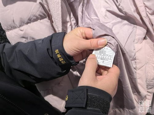 羽绒制品 以丝代绒 含绒量0 资阳开展羽绒服市场 大体检