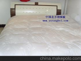 安新县大张庄北方羽绒制品销售部13933220516 企业库 
