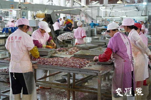 完善生态链,拉长产业链,扣紧利益链 徐州沛县这样稳住80亿元鸭产业