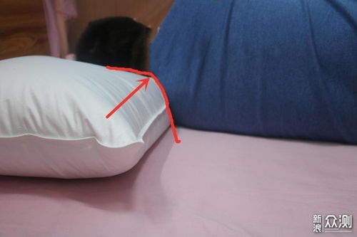 羽绒产品怎么选 四款鹅绒枕横评尽在此篇