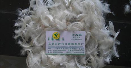 岭东厂 沙发羽绒 鸭绒 填充 羽毛羽绒
