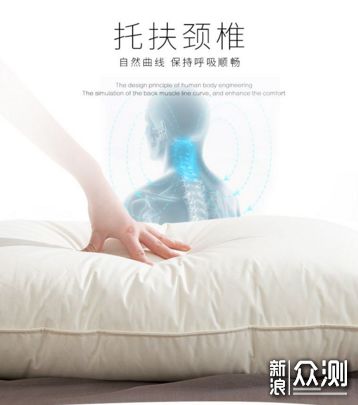 羽绒产品怎么选 四款鹅绒枕横评尽在此篇