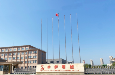 裕安白鹅“向天歌”_六安市裕安区人民政府