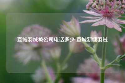 宣城羽绒被公司电话多少 宣城新塘羽绒