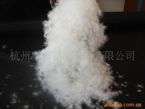 杭州凌博羽绒制品公司网站