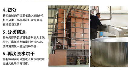 【羽绒羽毛水洗白鸭毛片 枕头床垫填充原材料 2~4cm鸭毛片工厂批发】价格,厂家,图片,羽毛、羽绒,安徽方翔羽绒制品-