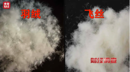 以“丝”代“绒”乱象频生,消费者选购羽绒服时应注意什么?