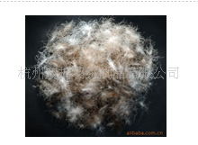 杭州双楠羽绒制品