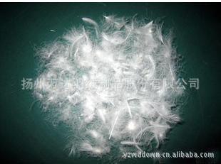 扬州万达羽绒制品：专业韩版女式高档羽绒服批发与订单加工服务