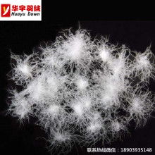 安新县华联羽绒制品厂 羽绒与羽毛制品的专业加工