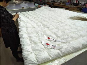 淮安市淮安区鑫丰羽绒制品厂 最新市场供求动态与产业前景分析